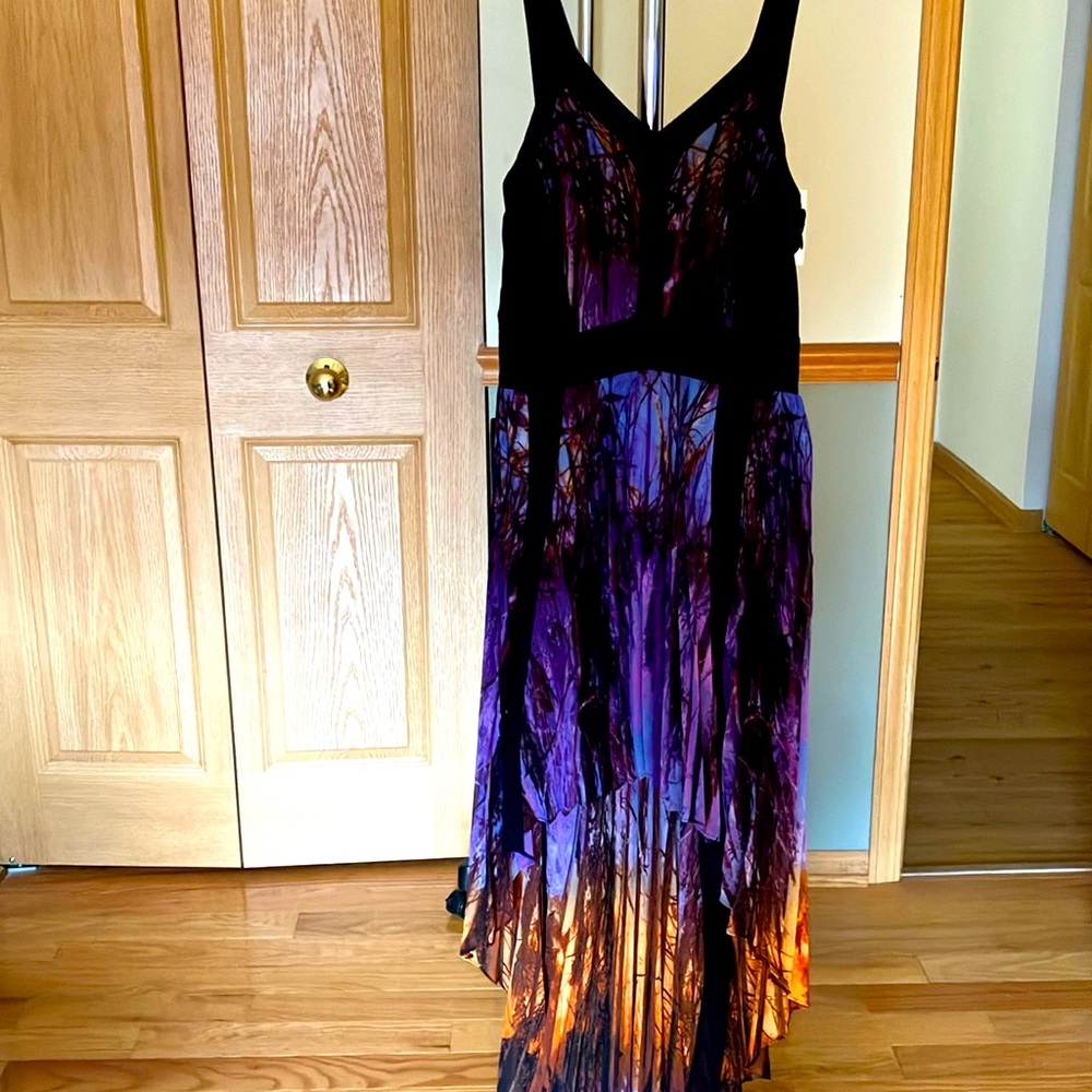Gorgeous nwt hi-lo dress.  Multicolored with black bands size 4.